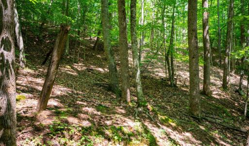 Photo #43 of Adventure Mountain, Montvale, VA 343.0 acres