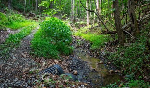 Photo #50 of Adventure Mountain, Montvale, VA 343.0 acres