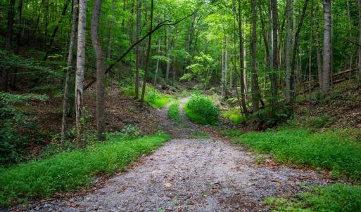 Photo #49 of Adventure Mountain, Montvale, VA 343.0 acres