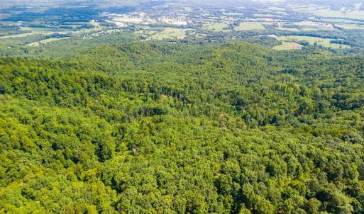 Photo #22 of Adventure Mountain, Montvale, VA 343.0 acres