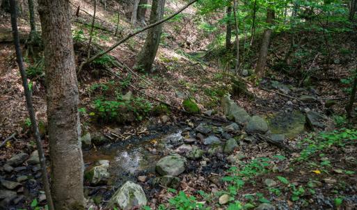 Photo #47 of Adventure Mountain, Montvale, VA 343.0 acres