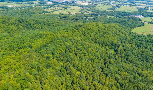 Photo #35 of Adventure Mountain, Montvale, VA 343.0 acres