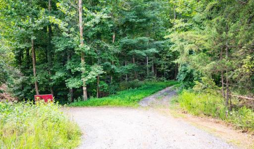 Photo #3 of Adventure Mountain, Montvale, VA 343.0 acres