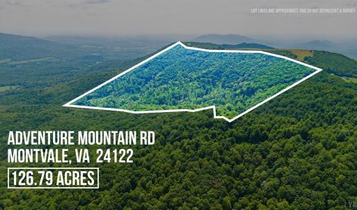 Photo #5 of Adventure Mountain, Montvale, VA 343.0 acres