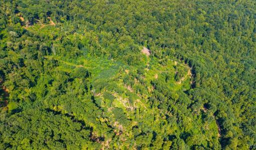 Photo #28 of Adventure Mountain, Montvale, VA 343.0 acres