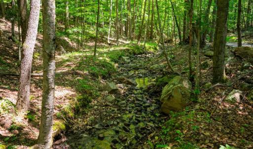 Photo #42 of Adventure Mountain, Montvale, VA 343.0 acres