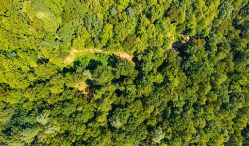 Photo #13 of Adventure Mountain, Montvale, VA 343.0 acres