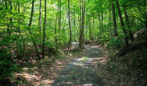 Photo #9 of Adventure Mountain, Montvale, VA 343.0 acres