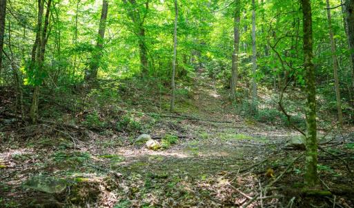 Photo #51 of Adventure Mountain, Montvale, VA 343.0 acres