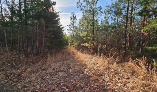 Photo #3 of Pleasant Mountain Drive, Rustburg, VA 70.0 acres