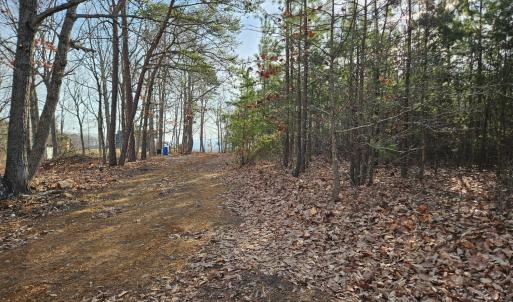 Photo #4 of Pleasant Mountain Drive, Rustburg, VA 70.0 acres