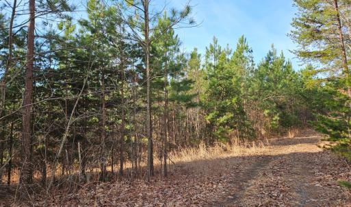 Photo #5 of Pleasant Mountain Drive, Rustburg, VA 70.0 acres