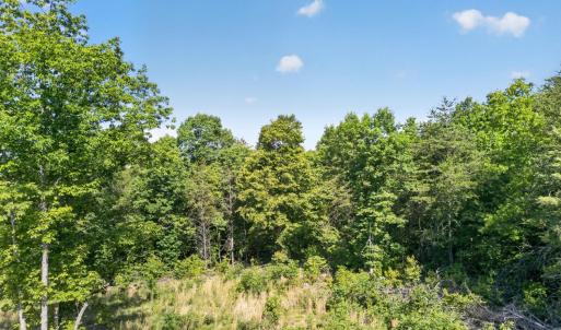 Photo #4 of Mohawk Road, Gladys, VA 10.8 acres
