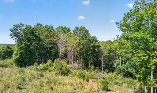 Photo #5 of Mohawk Road, Gladys, VA 10.8 acres