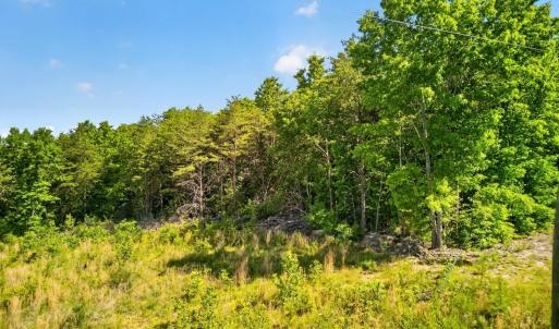 Photo #2 of Mohawk Road, Gladys, VA 10.8 acres