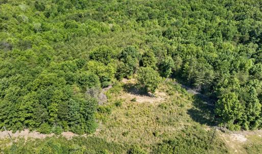 Photo #7 of Mohawk Road, Gladys, VA 10.8 acres