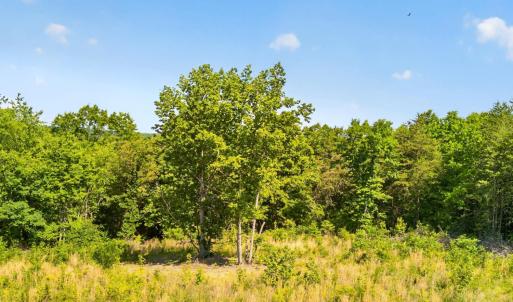 Photo #1 of Mohawk Road, Gladys, VA 10.8 acres