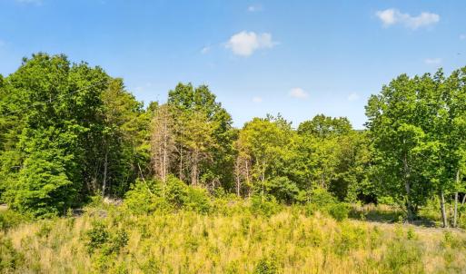 Photo #3 of Mohawk Road, Gladys, VA 10.8 acres