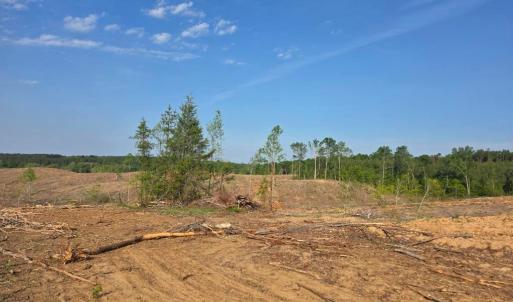 Photo #6 of 5367 Lunenburg County Road, Keysville, VA 93.0 acres