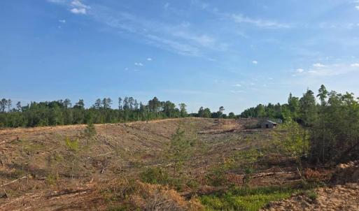 Photo #4 of 5367 Lunenburg County Road, Keysville, VA 93.0 acres