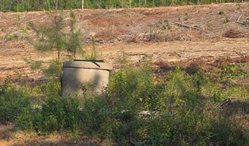 Photo #3 of 5367 Lunenburg County Road, Keysville, VA 93.0 acres