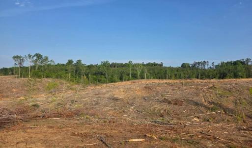 Photo #5 of 5367 Lunenburg County Road, Keysville, VA 93.0 acres