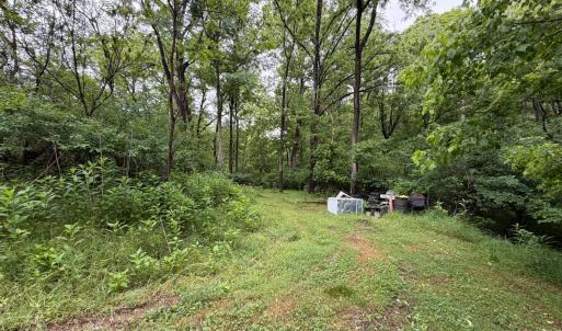 Photo #3 of 1115 Gandy Road, Goode, VA 2.0 acres