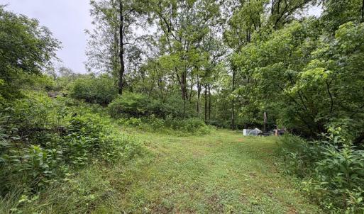 Photo #1 of 1115 Gandy Road, Goode, VA 2.0 acres