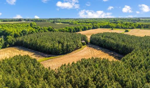 Photo #9 of 1190 Beales Lane, Nathalie, VA 40.4 acres