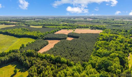Photo #8 of 1190 Beales Lane, Nathalie, VA 40.4 acres