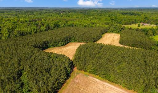 Photo #4 of 1190 Beales Lane, Nathalie, VA 40.4 acres