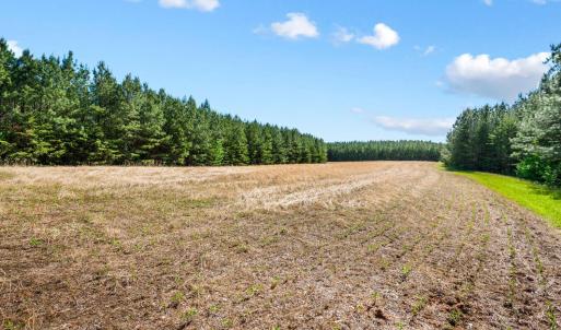 Photo #11 of 1190 Beales Lane, Nathalie, VA 40.4 acres
