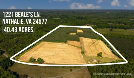 Photo #1 of 1190 Beales Lane, Nathalie, VA 40.4 acres