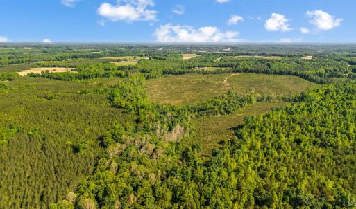 Photo #7 of Beales Lane, Nathalie, VA 136.7 acres