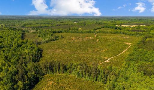 Photo #5 of Beales Lane, Nathalie, VA 136.7 acres