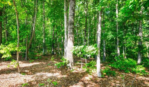 Photo #15 of Beales Lane, Nathalie, VA 136.7 acres