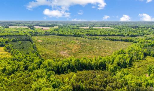 Photo #2 of Beales Lane, Nathalie, VA 136.7 acres