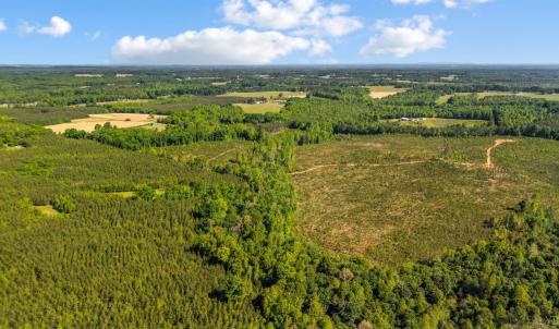 Photo #10 of Beales Lane, Nathalie, VA 136.7 acres
