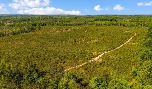 Photo #3 of Beales Lane, Nathalie, VA 136.7 acres