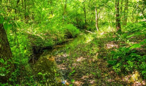 Photo #17 of Beales Lane, Nathalie, VA 136.7 acres