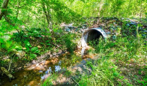 Photo #16 of Beales Lane, Nathalie, VA 136.7 acres