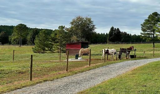 Photo #4 of Tract 1B Easome Road, Hurt, VA 51.1 acres