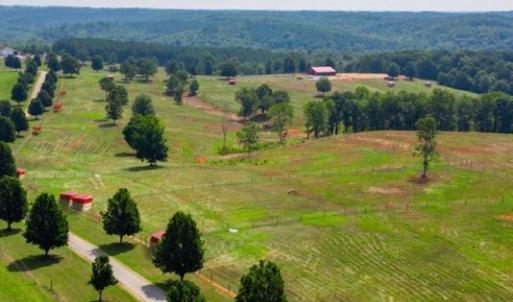 Photo #7 of Tract 1B Easome Road, Hurt, VA 51.1 acres