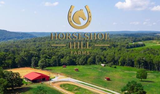 Photo #3 of Tract 1B Easome Road, Hurt, VA 51.1 acres