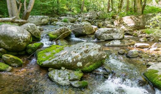 Photo #2 of 0 Meadows Lane, Montebello, VA 204.0 acres
