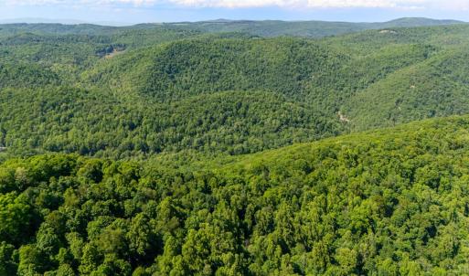 Photo #12 of 0 Meadows Lane, Montebello, VA 204.0 acres