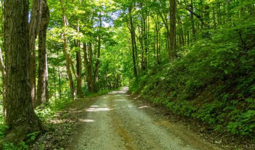 Photo #4 of 0 Meadows Lane, Montebello, VA 204.0 acres
