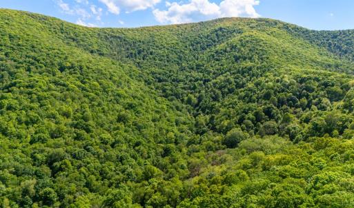 Photo #14 of 0 Meadows Lane, Montebello, VA 204.0 acres