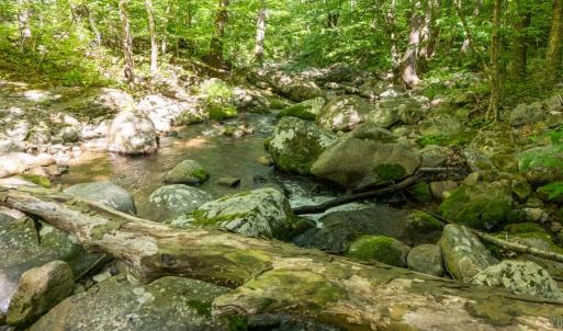 Photo #18 of 0 Meadows Lane, Montebello, VA 204.0 acres