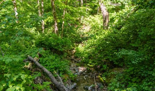 Photo #7 of 0 Meadows Lane, Montebello, VA 204.0 acres